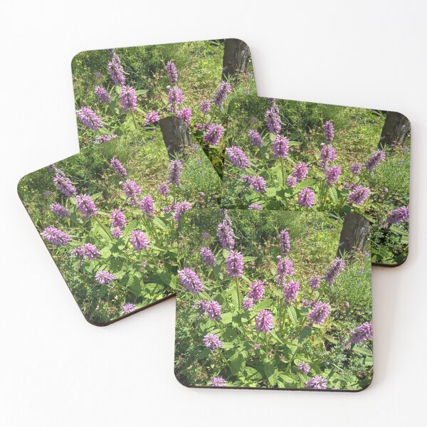 Item preview, Purple Betony Wildflowers Blooming in a Sunny Garden designed and sold by PhuongVoArt.