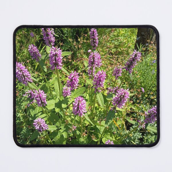 Item preview, Purple Betony Wildflowers Blooming in a Sunny Garden designed and sold by PhuongVoArt.