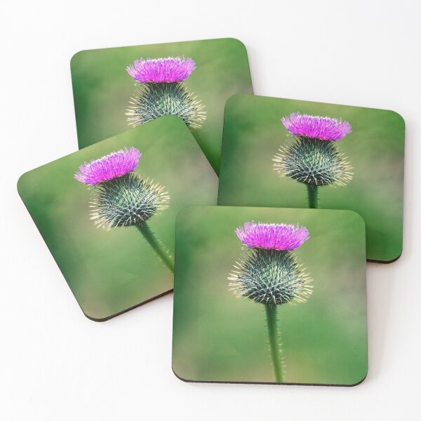 Item preview, Scottish Thistle designed and sold by Tom McPherson Photography.