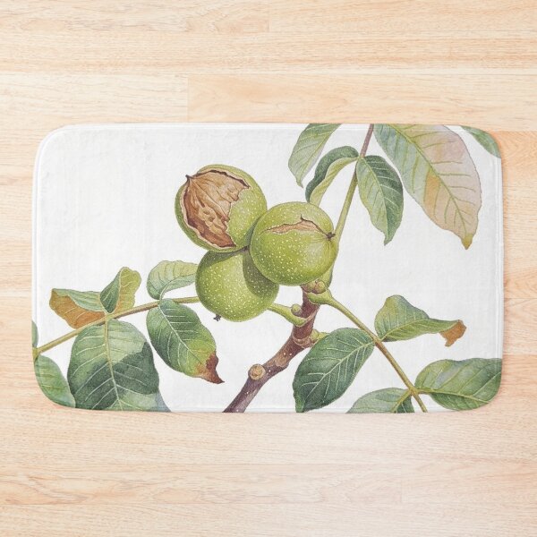 Item preview, Elegant Walnut Tree Branch Watercolor - Minimalist Japandi Botanical Wall Art designed and sold by sana designer.