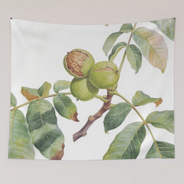 Item preview, Elegant Walnut Tree Branch Watercolor - Minimalist Japandi Botanical Wall Art designed and sold by sana designer.