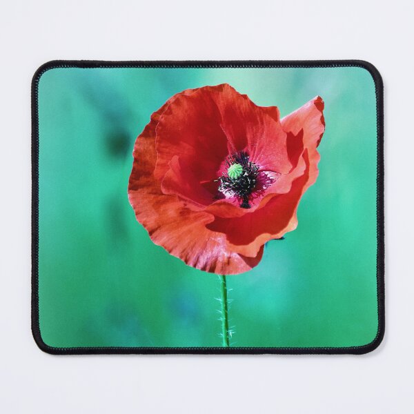 Item preview, Solitary Poppy designed and sold by Tom McPherson Photography.