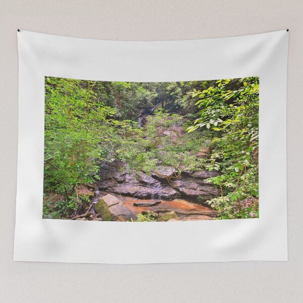 Item preview, Hidden Waterfall At Stumphouse Tunnel Oconee County South Carolina  designed and sold by LisaWootenPhoto.