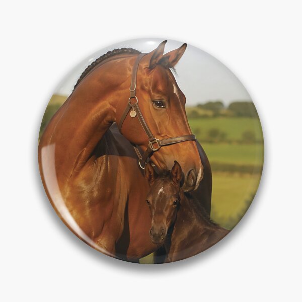 Item preview, Bay Mare With Newborn Foal Standing Together In Sunlit Green Pasture On Summer Morning designed and sold by LisaMise.