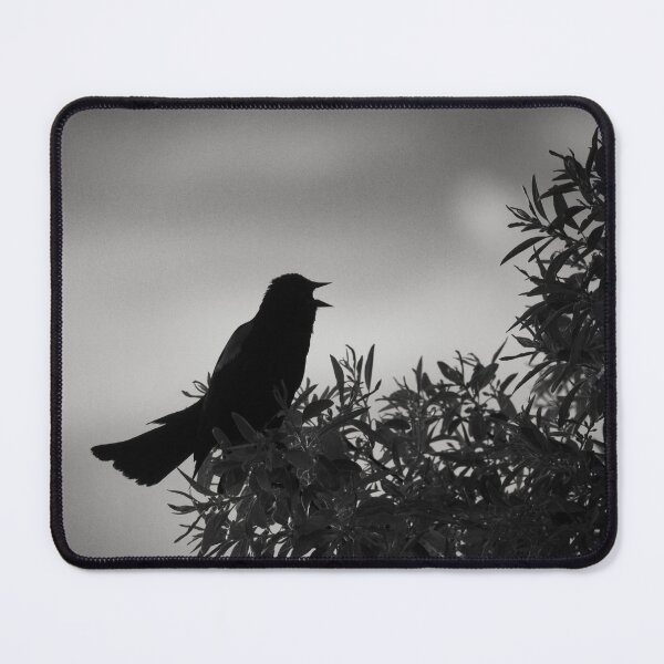 Item preview, Blackbird Silhouette designed and sold by Frozen Ambience Shots.