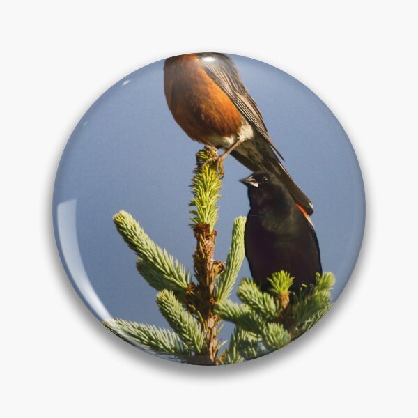 Item preview, Treetop Robin designed and sold by Frozen Ambience Shots.