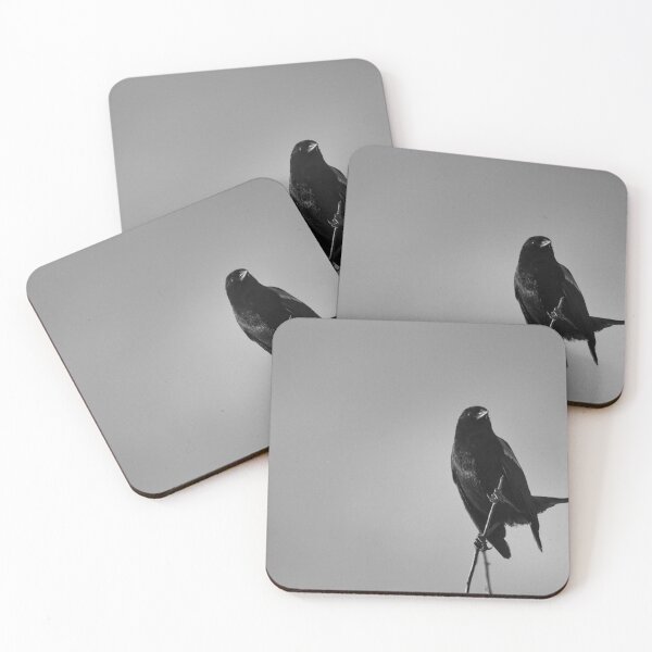 Item preview, Blackbird on a Branch - Black and White designed and sold by Frozen Ambience Shots.