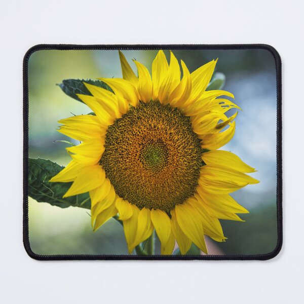 Item preview, Close-up of a yellow sunflower bloom with detailed seed head, bright petals and soft green bokeh background in natural light designed and sold by RastislavS.