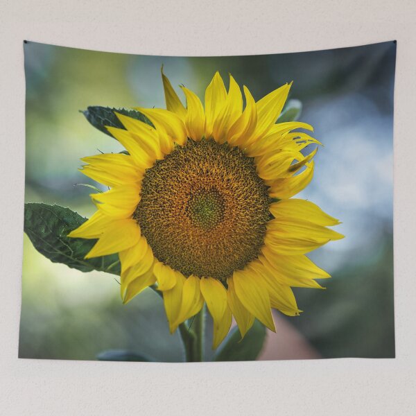 Item preview, Close-up of a yellow sunflower bloom with detailed seed head, bright petals and soft green bokeh background in natural light designed and sold by RastislavS.