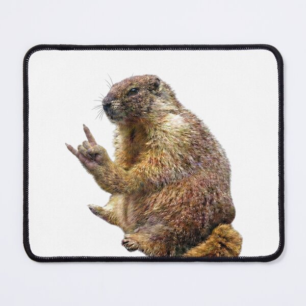 Item preview, One Chill Marmot designed and sold by bnosovitsky.