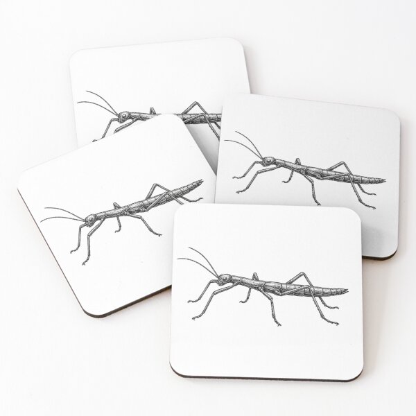 Item preview, Realistic high detail black and white stick bug designed and sold by Minimalisticaly.