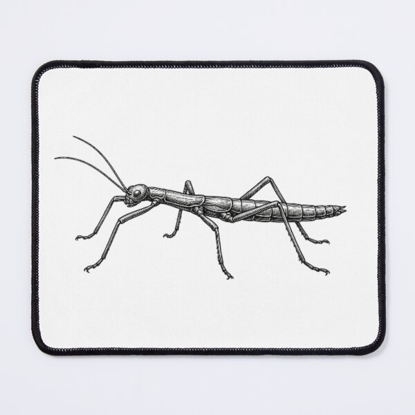 Item preview, Realistic high detail black and white stick bug designed and sold by Minimalisticaly.