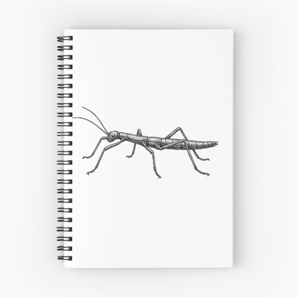 Item preview, Realistic high detail black and white stick bug designed and sold by Minimalisticaly.