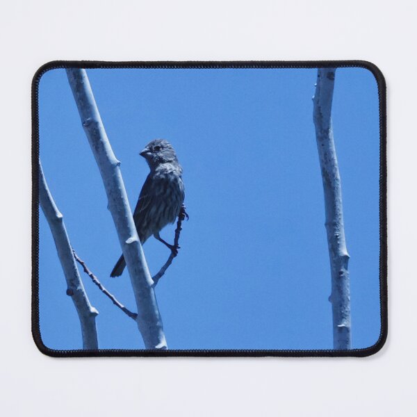 Item preview, Robin on branch designed and sold by WilesTheFox.
