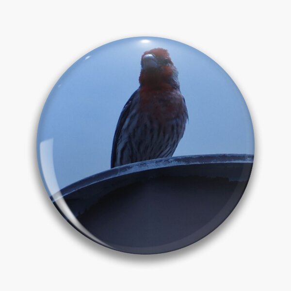 Item preview, House Finch on Rooftop designed and sold by WilesTheFox.