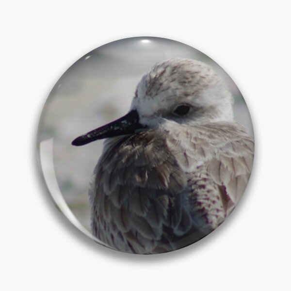 Item preview, Sanderling designed and sold by CrownedCraneCreations.