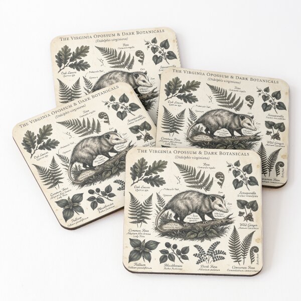 Item preview, Botanical Trash Animal - Vintage Opossum Anatomy designed and sold by Retro Mood Co.