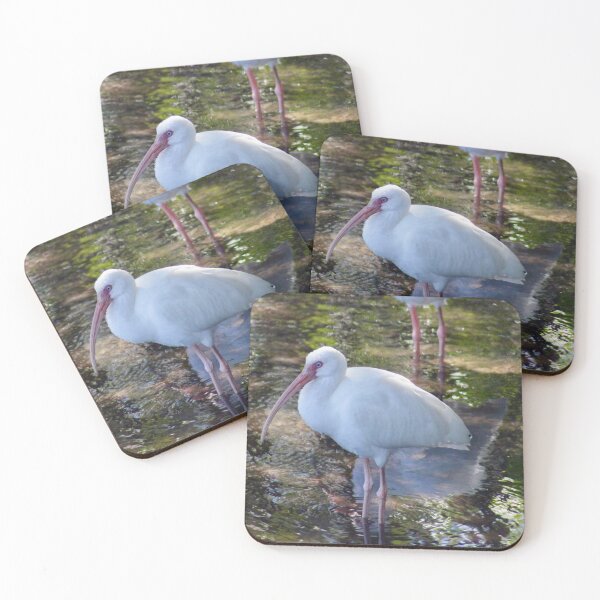 Item preview, White Ibis designed and sold by CrownedCraneCreations.
