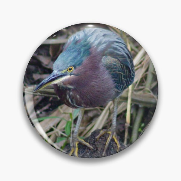 Item preview, Green Heron designed and sold by CrownedCraneCreations.