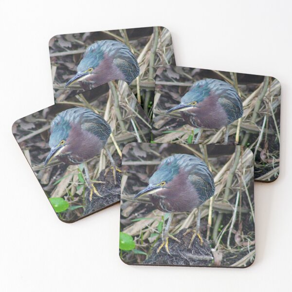 Item preview, Green Heron designed and sold by CrownedCraneCreations.