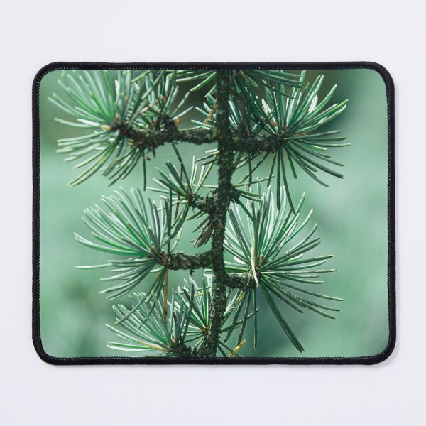 Item preview, Morning Larch designed and sold by Mutezone.