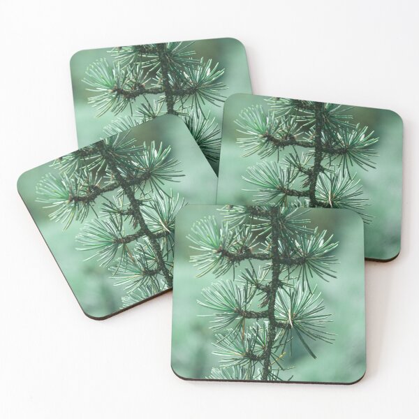 Item preview, Morning Larch designed and sold by Mutezone.