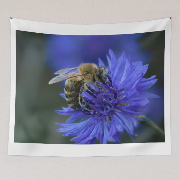 Item preview, Moody Honeybee Macro on Blue Cornflower designed and sold by LHcraft.