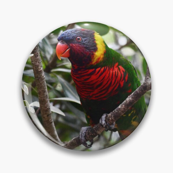 Item preview, Coconut Lorikeet in the Trees designed and sold by richardbryce.