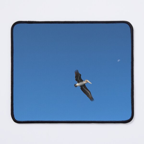 Item preview, Pelican and Moon designed and sold by Sedgwick Nature Photography.