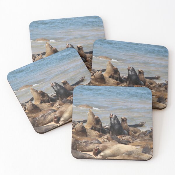 Item preview, California Sea Lions designed and sold by Sedgwick Nature Photography.