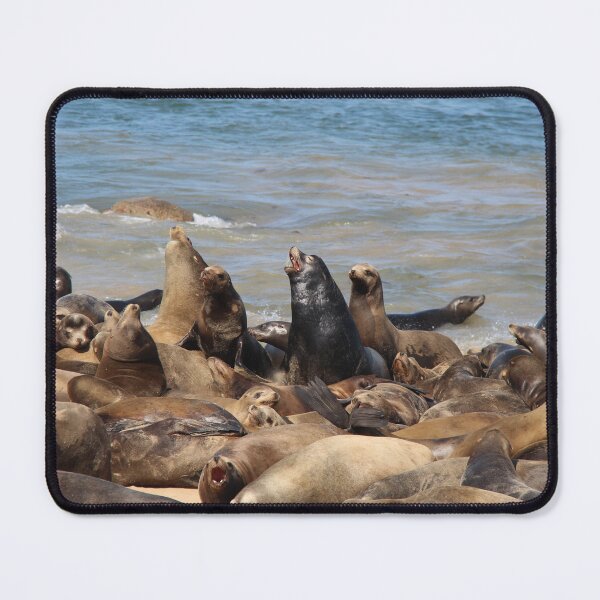 Item preview, California Sea Lions designed and sold by Sedgwick Nature Photography & Design.