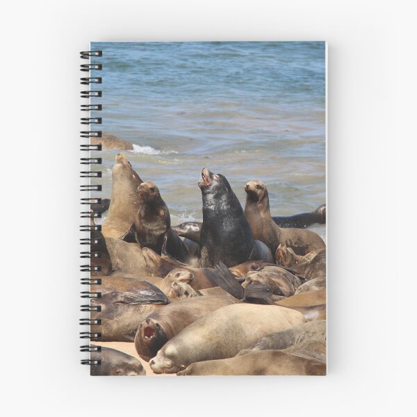 Item preview, California Sea Lions designed and sold by Sedgwick Nature Photography & Design.