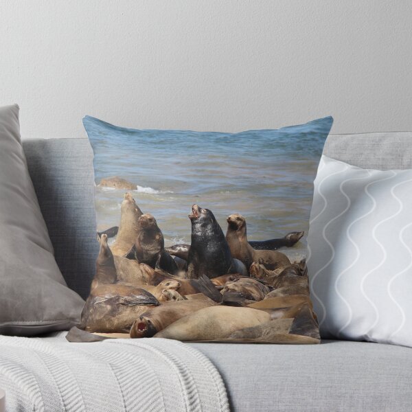 Item preview, California Sea Lions designed and sold by Sedgwick Nature Photography & Design.