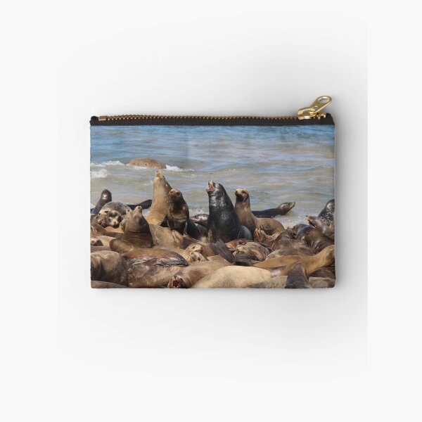 Item preview, California Sea Lions designed and sold by Sedgwick Nature Photography & Design.