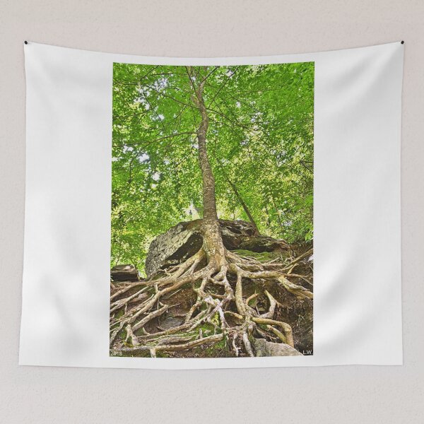Item preview, A Tree And It's Roots designed and sold by LisaWootenPhoto.