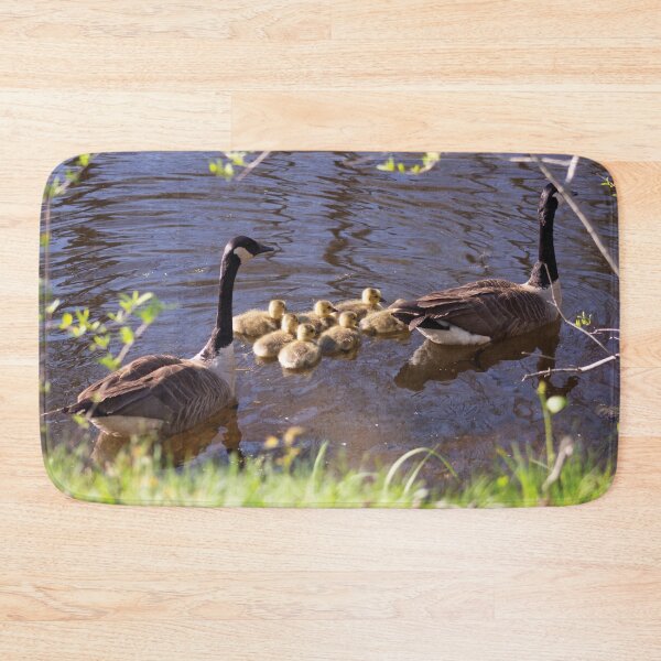 Item preview, Canada Geese with babies swimming designed and sold by Perspective Wings.