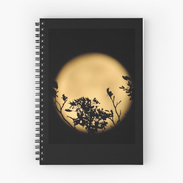 Item preview, Flower Silhouettes in front of Moon designed and sold by lunarliza.