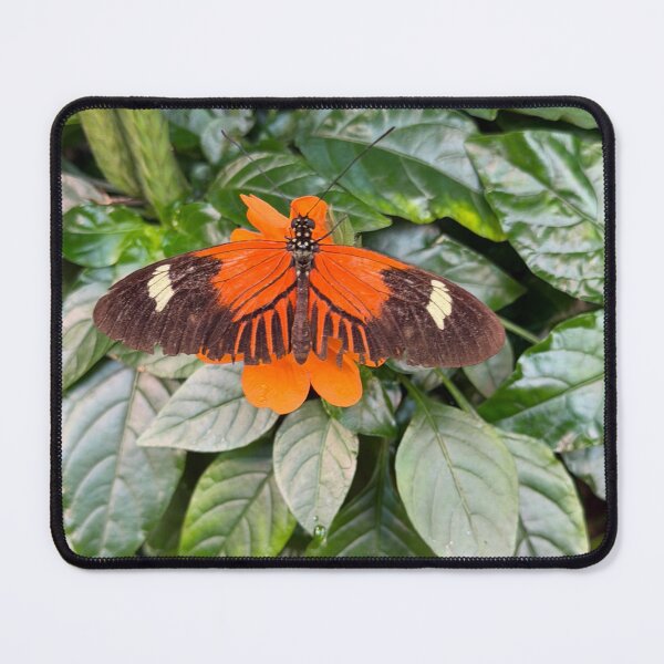 Item preview, Butterfly  designed and sold by emiliabuntz.