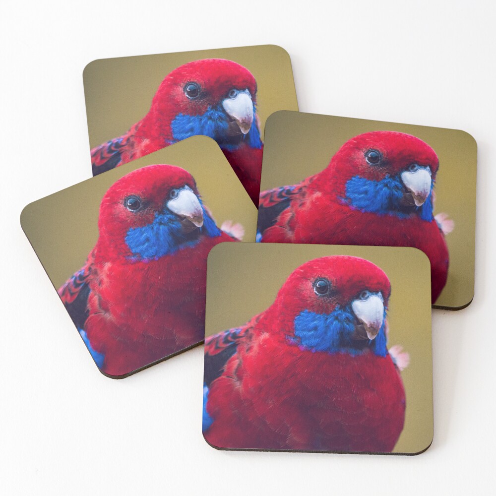 Item preview, Coasters (Set of 4) designed and sold by RabbottPhoto.