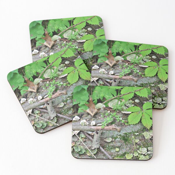 Item preview, Downed Tree Trunk with Moss and Mushrooms designed and sold by Martha Sherman.