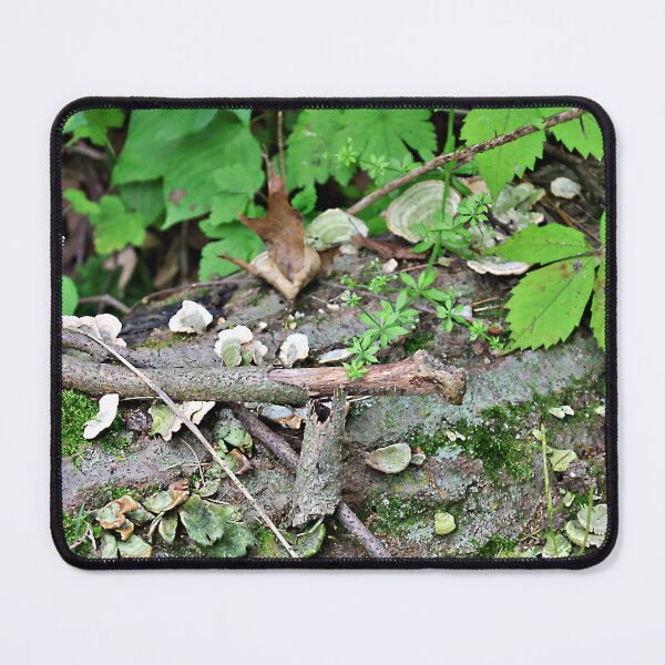 Item preview, Downed Tree Trunk with Moss and Mushrooms designed and sold by Martha Sherman.