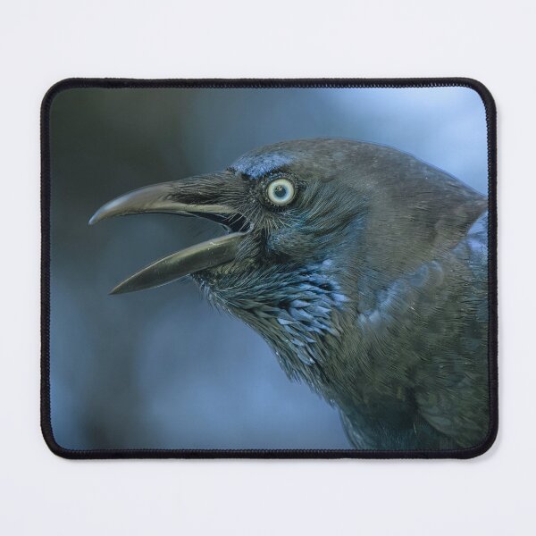 Item preview, Torresian Crow designed and sold by robdwildlife.