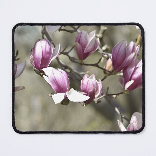 Item preview, Pink Magnolia Bloom Macro Photography designed and sold by TathataPhotos.