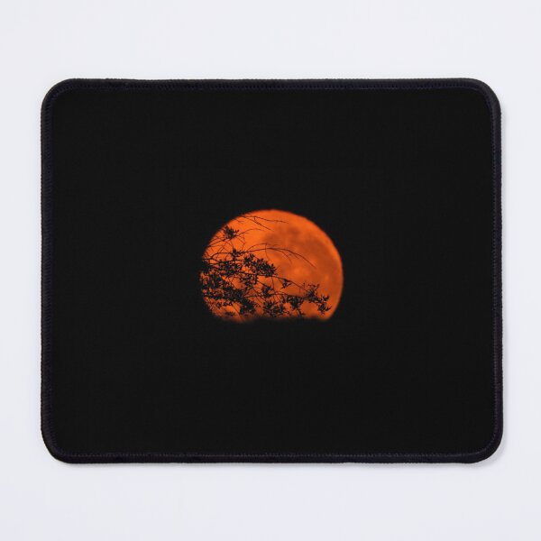 Item preview, Moon with Tree Silhouettes designed and sold by lunarliza.