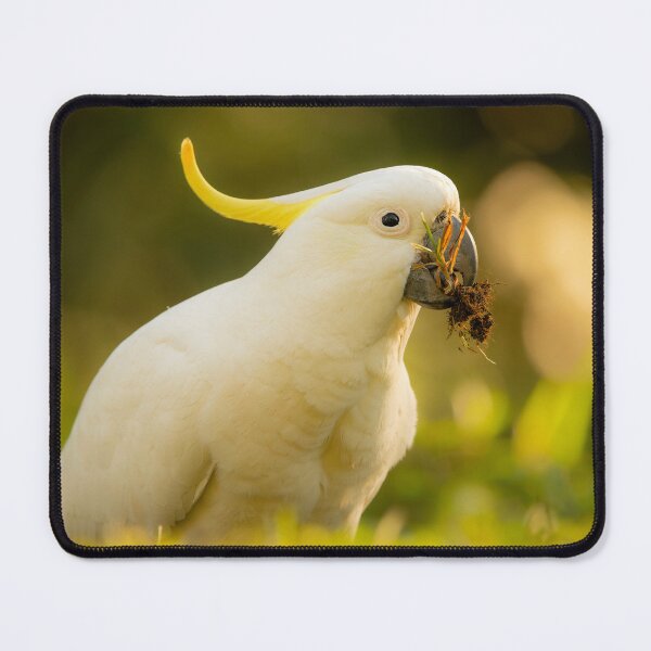 Item preview, Sulphur-crested cockatoo designed and sold by robdwildlife.