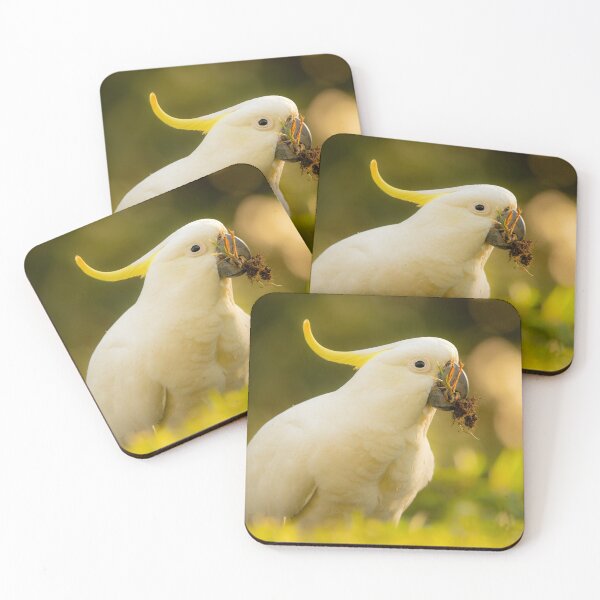 Item preview, Sulphur-crested cockatoo designed and sold by robdanimalphotography.