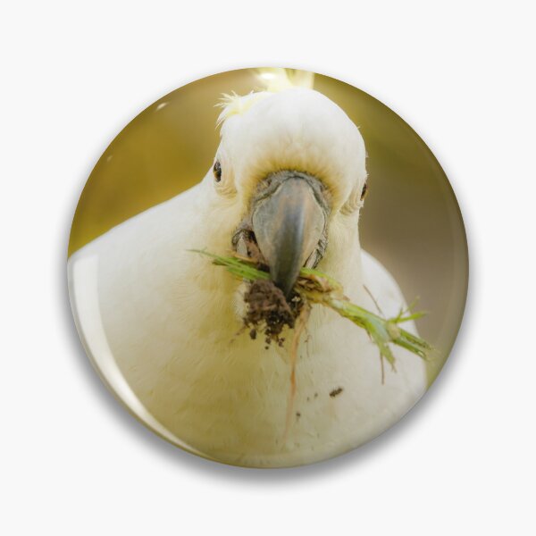 Item preview, Sulphur-crested cockatoo designed and sold by robdwildlife.