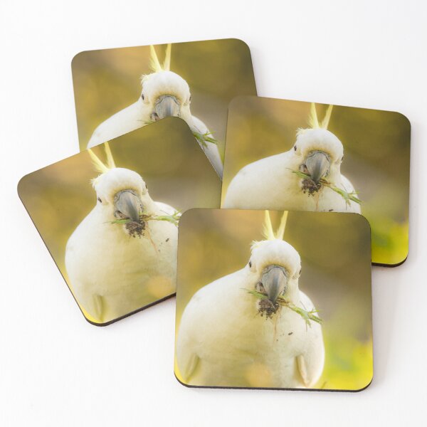 Item preview, Sulphur-crested cockatoo designed and sold by robdanimalphotography.