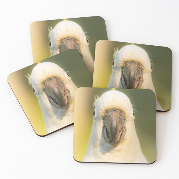 Item preview, Sulphur-crested cockatoo designed and sold by robdanimalphotography.