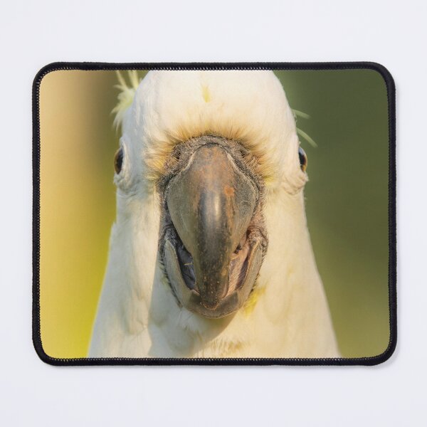 Item preview, Sulphur-crested cockatoo designed and sold by robdwildlife.